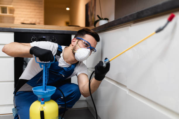 Best Cockroach Control Services  in Cortez, FL