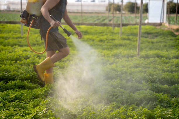 Best Pest Removal Services  in Cortez, FL