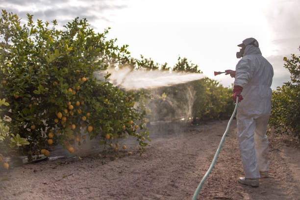 Best Residential Pest Control  in Cortez, FL