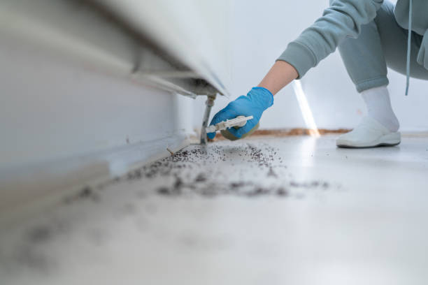 Best Pest Removal Services  in Cortez, FL
